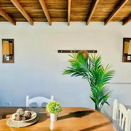 Apartman Canaryislandshost L Olympica Teguise