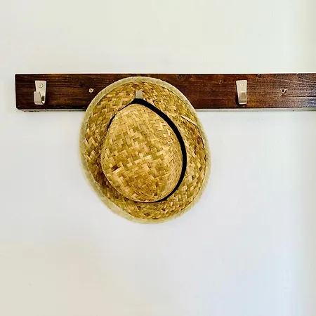 Canaryislandshost L Olympica Teguise (Lanzarote)